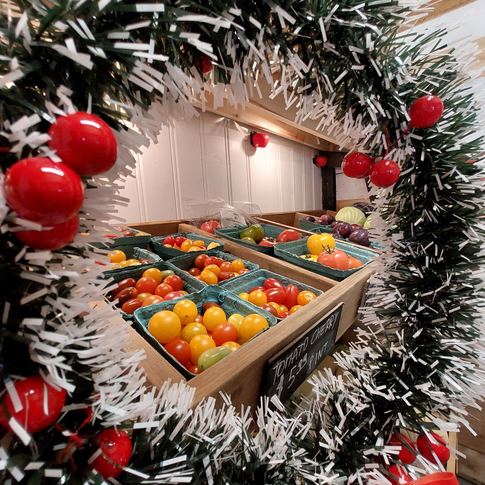 Christmas Fruits