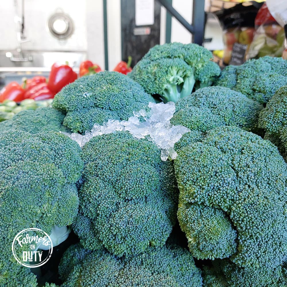Local Broccoli Organic