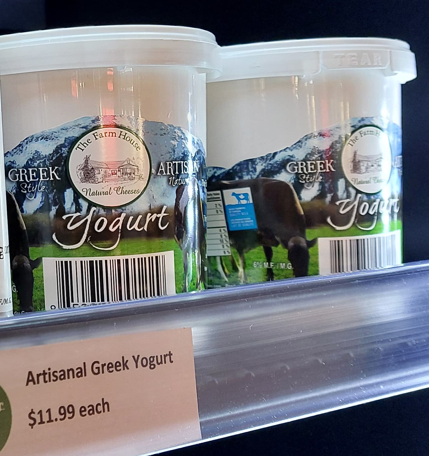 Artisanal greek Yogurt 750mL