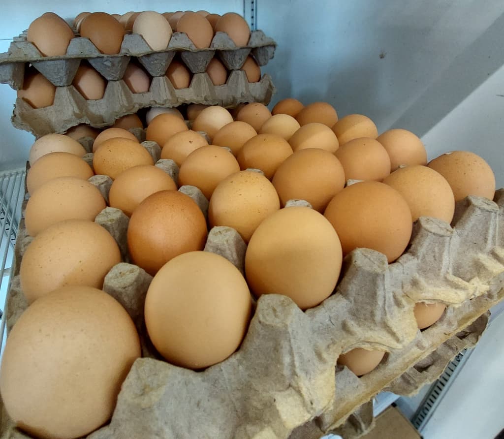Free Range Flat ×30 Eggs