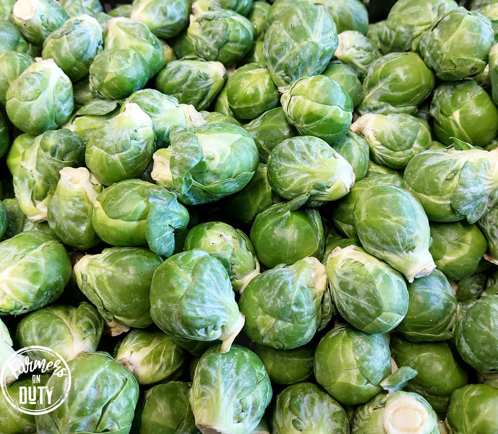 Brussel Sprouts