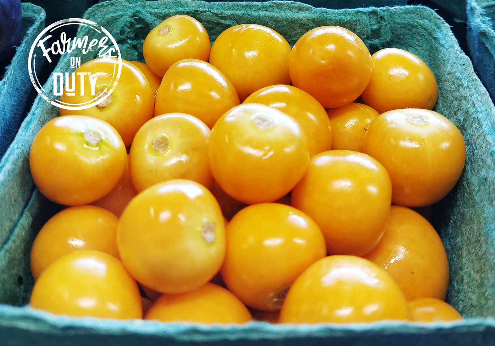 Tomato Cherry Pint in Farmers On Duty